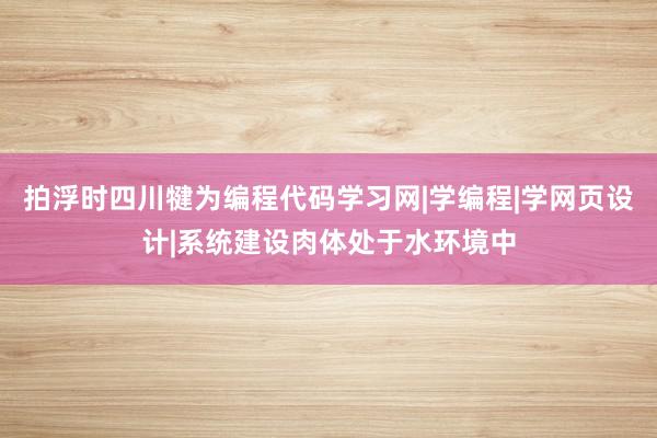 拍浮时四川犍为编程代码学习网|学编程|学网页设计|系统建设肉体处于水环境中